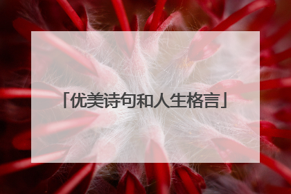 优美诗句和人生格言