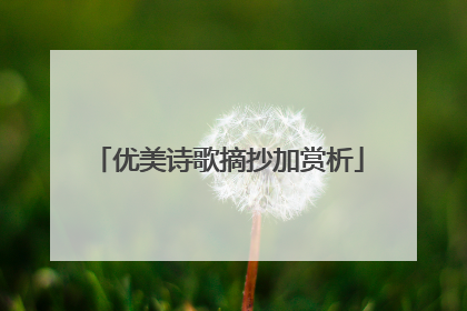 优美诗歌摘抄加赏析