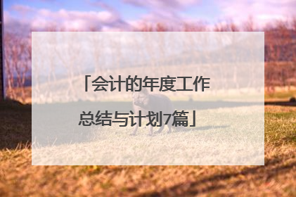 会计的年度工作总结与计划7篇