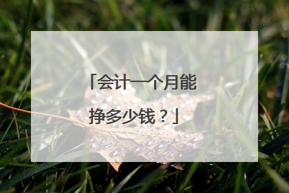 会计一个月能挣多少钱?