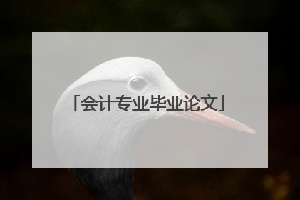 会计专业毕业论文