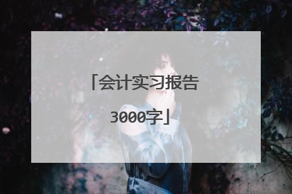 会计实习报告 3000字