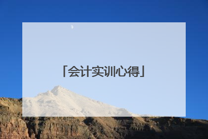 会计实训心得