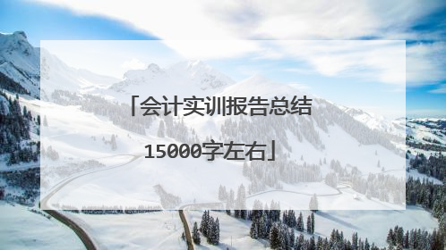 会计实训报告总结15000字左右