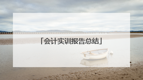 会计实训报告总结