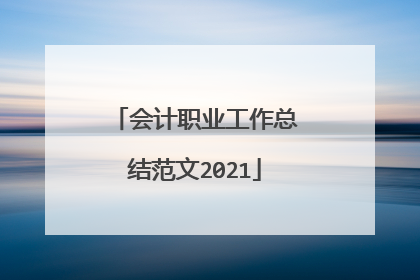 会计职业工作总结范文2021