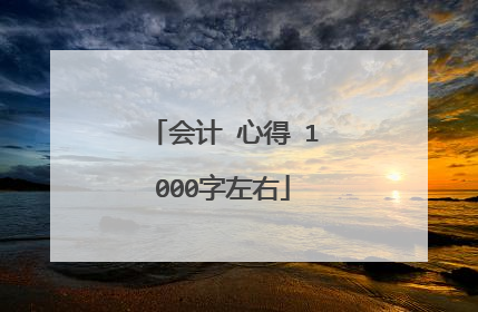 会计 心得 1000字左右