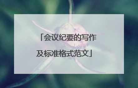 会议纪要的写作及标准格式范文