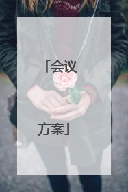 会议方案