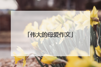 伟大的母爱作文
