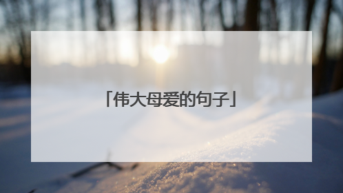 伟大母爱的句子