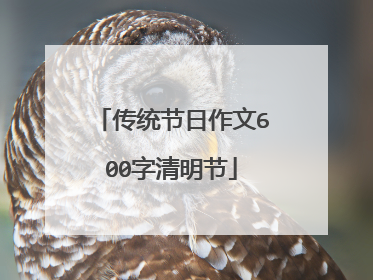 传统节日作文600字清明节