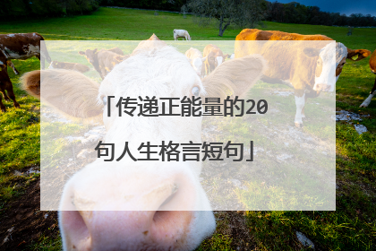 传递正能量的20句人生格言短句