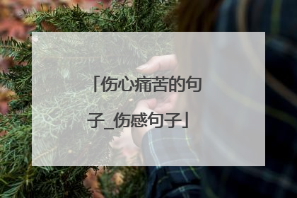 伤心痛苦的句子_伤感句子