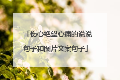 伤心绝望心痛的说说句子和图片文案句子