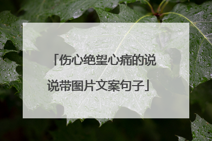 伤心绝望心痛的说说带图片文案句子