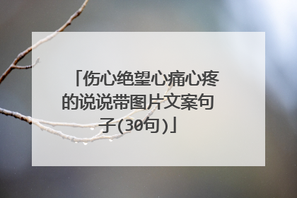 伤心绝望心痛心疼的说说带图片文案句子(30句)