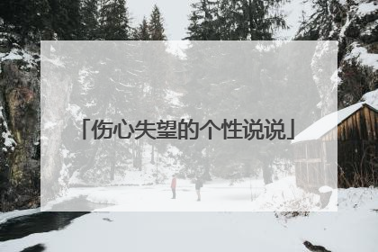 伤心失望的个性说说