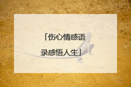伤心情感语录感悟人生