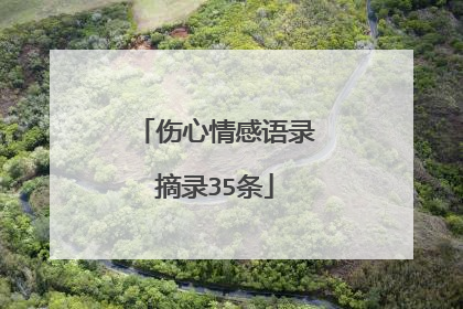 伤心情感语录摘录35条