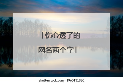 伤心透了的网名两个字