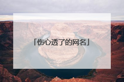 伤心透了的网名