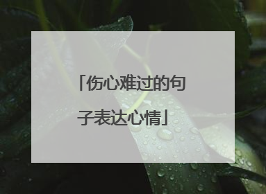 伤心难过的句子表达心情