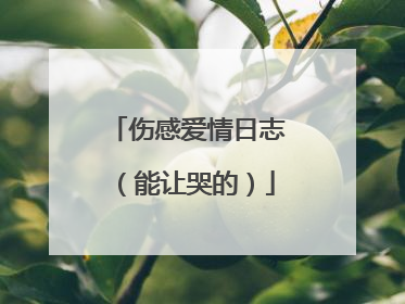 伤感爱情日志(能让哭的)