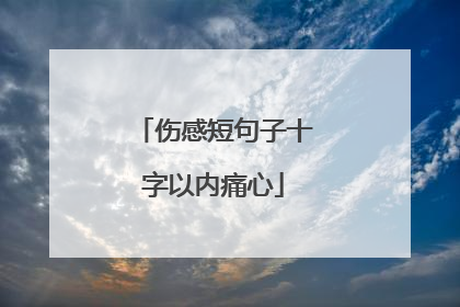 伤感短句子十字以内痛心