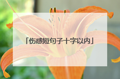 伤感短句子十字以内