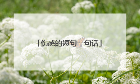 伤感的短句一句话