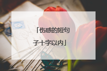 伤感的短句子十字以内