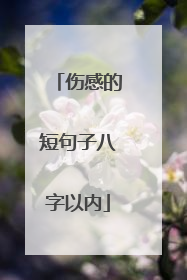 伤感的短句子八字以内