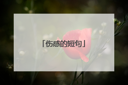 伤感的短句