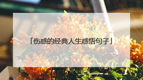 伤感的经典人生感悟句子