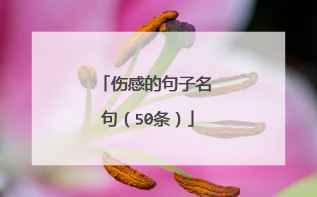 伤感的句子名句(50条)