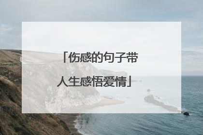 伤感的句子带人生感悟爱情