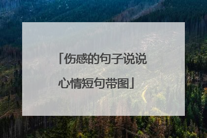 伤感的句子说说心情短句带图
