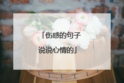 伤感的句子说说心情的