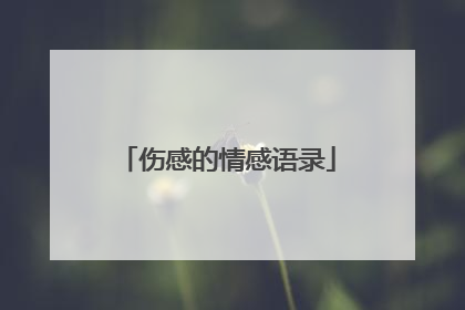 伤感的情感语录