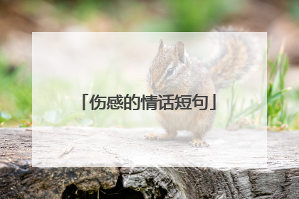 伤感的情话短句