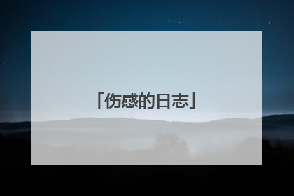 伤感的日志