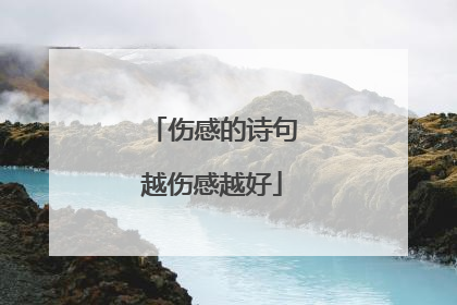 伤感的诗句越伤感越好