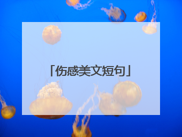 伤感美文短句