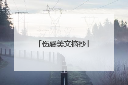 伤感美文摘抄