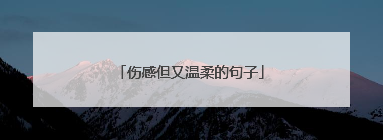 伤感但又温柔的句子