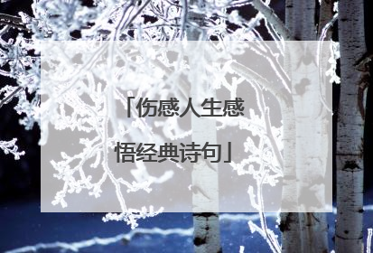 伤感人生感悟经典诗句