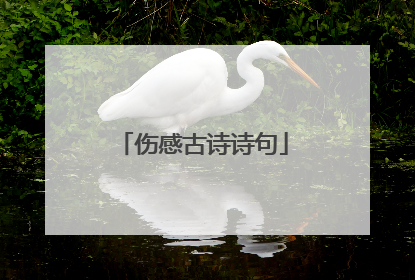 伤感古诗诗句