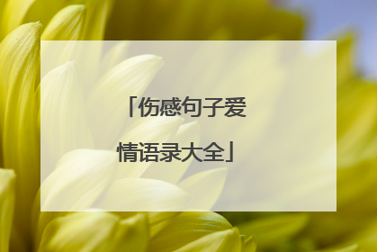 伤感句子爱情语录大全