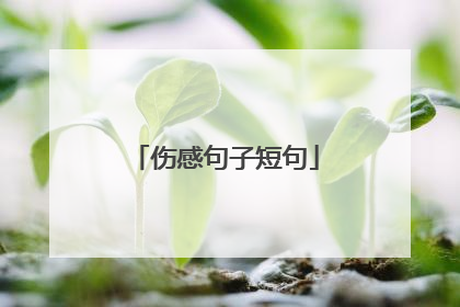 伤感句子短句